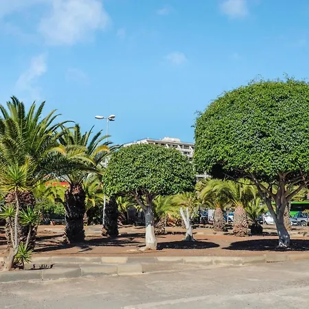 Apartman Estudio Los Cristianos 14 *